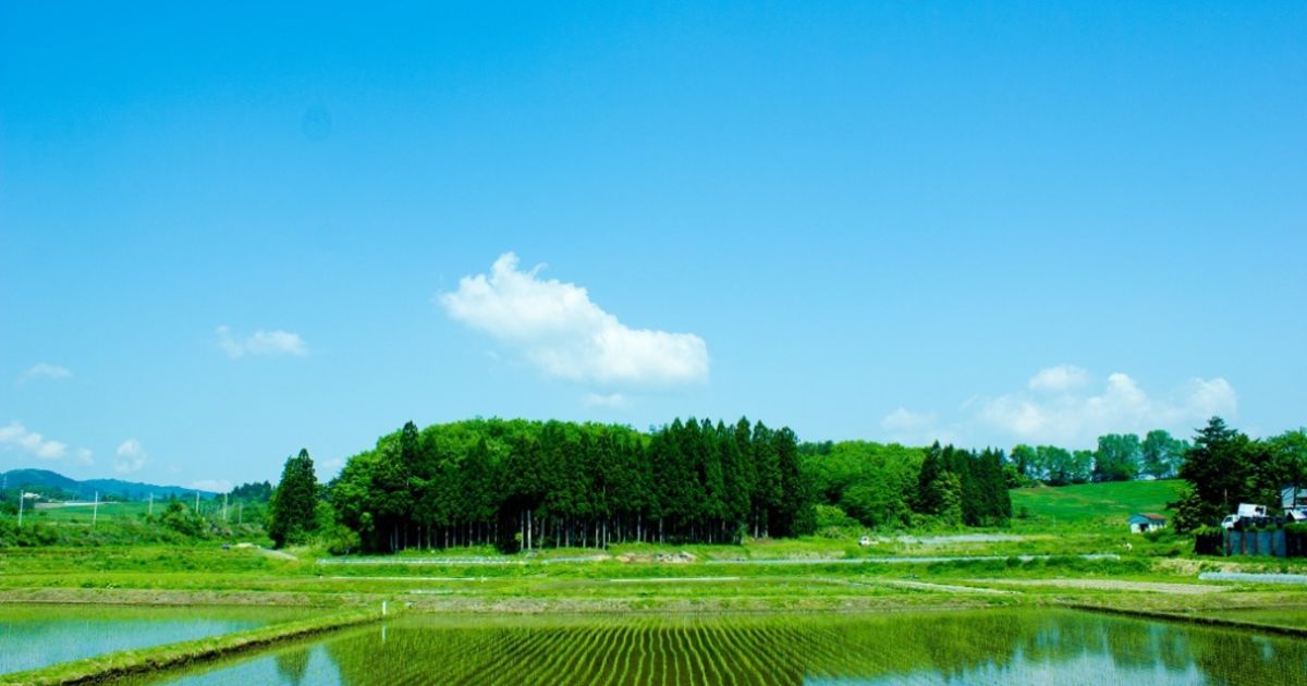 気温と服装の目安【春～夏】